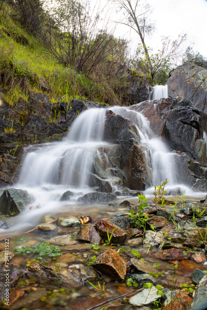 Obraz premium waterfall in the forest