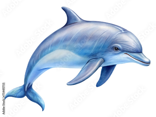 Dolphin on transparent