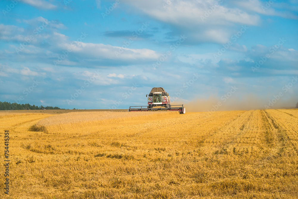 Fototapeta premium Combine harvester in the agricultural field on sunny day