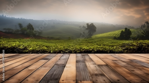 wooden deck with tea field background