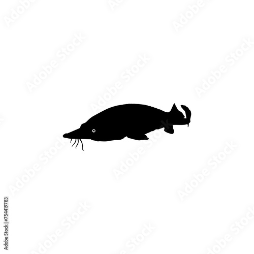 Beluga Sturgeon or Huso Fish Silhouette, Flat Style, Fish Which Produce Premium and Expensive Caviar, For Logo Type, Art Illustration, Pictogram, Apps, Website or Graphic Design Element. Vector 