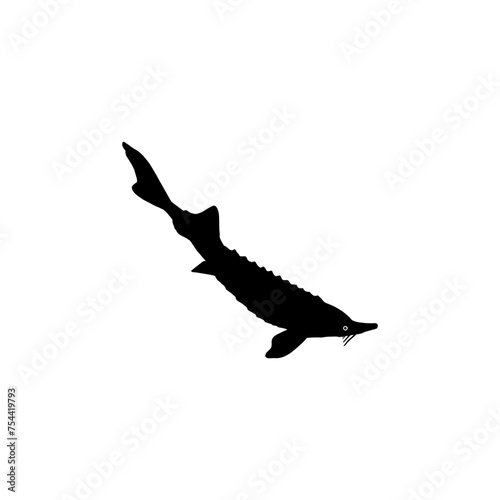 Beluga Sturgeon or Huso Fish Silhouette, Flat Style, Fish Which Produce Premium and Expensive Caviar, For Logo Type, Art Illustration, Pictogram, Apps, Website or Graphic Design Element. Vector 
