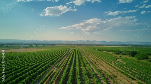 An aerial tour over a vast agricultural landscape