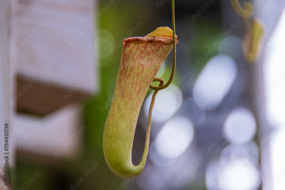 1000_F_754421730_GyXnj80B3YGZc