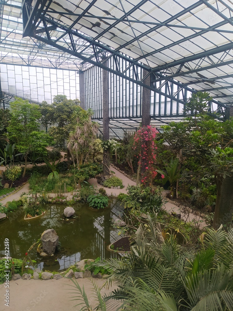 Serene Botanical Haven: Exploring the Greenery of a Botanical Garden Inside a Grand Greenhouse