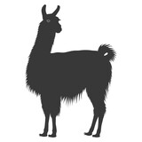 Silhouette llama animal black color only full body