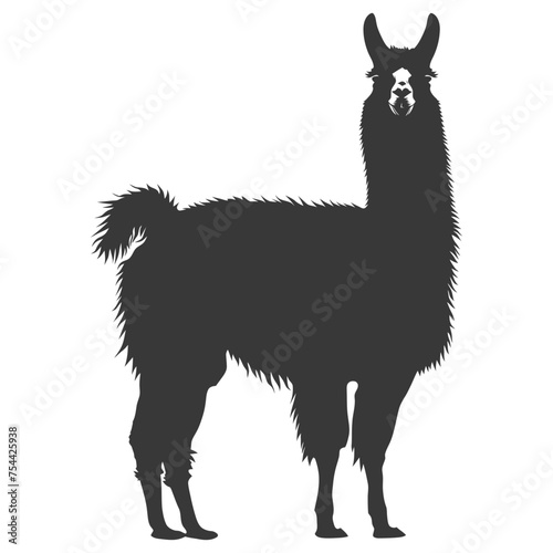 Silhouette llama animal black color only full body © NikahGeh