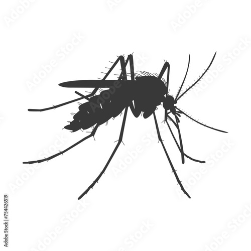 Silhouette mosquito animal black color only full body © NikahGeh