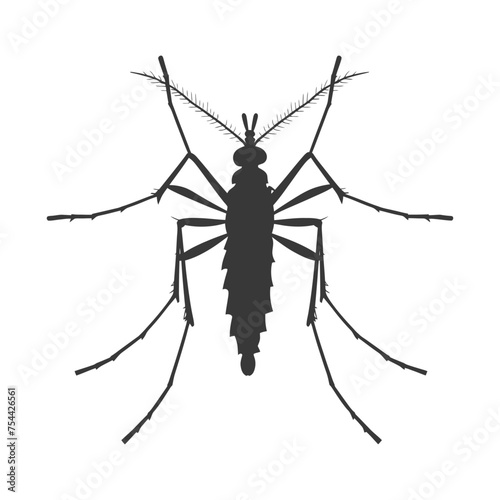 Silhouette mosquito animal black color only full body