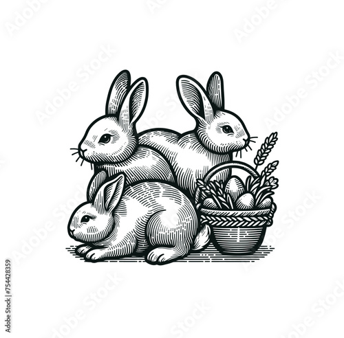 rabbit 0903 11