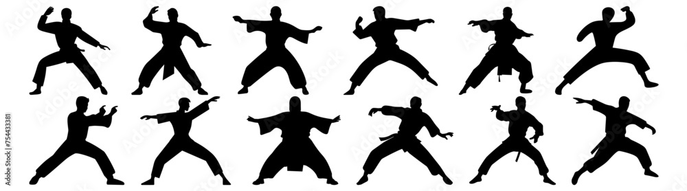 Fighter karate kung fu silhouette set vector design big pack of illustration and icon