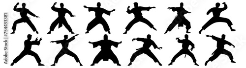 Fighter karate kung fu silhouette set vector design big pack of illustration and icon