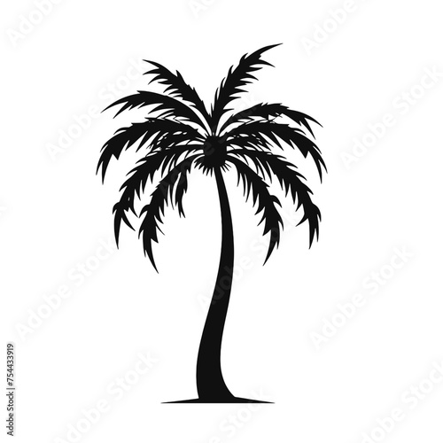 palm trees silhouettes