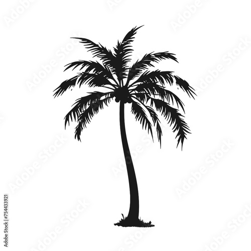 palm trees silhouettes
