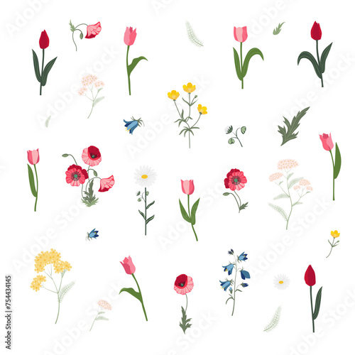 Wallpaper Mural Wildflowers. A postcard template with flowers. Elements of flowers. Torontodigital.ca