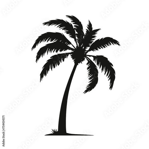 palm trees silhouettes