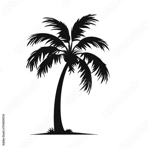 palm trees silhouettes