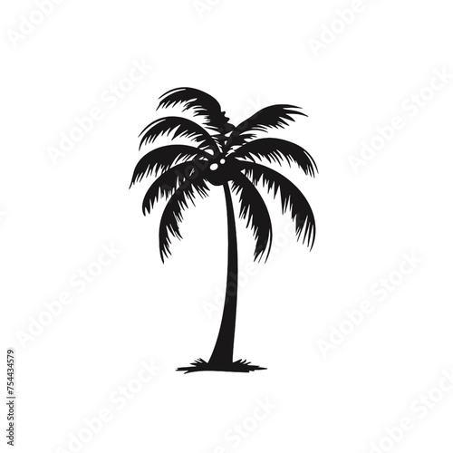 palm trees silhouettes