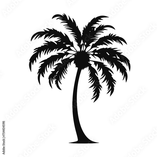 palm trees silhouettes