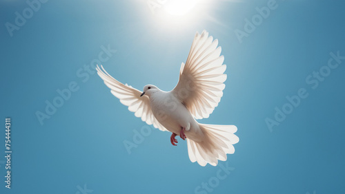 a white peace pigeon flying in a bright blue sky whitout clouds