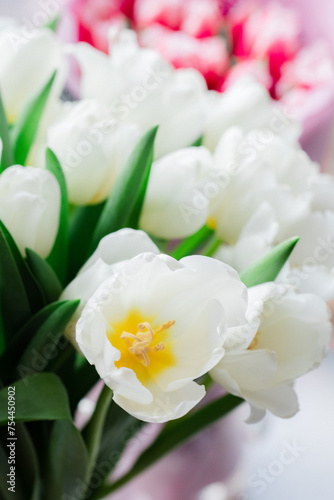 bouquet of beautiful spring flowers, white and red tulips. Woman day. Flower shop. Tulips for woman's day