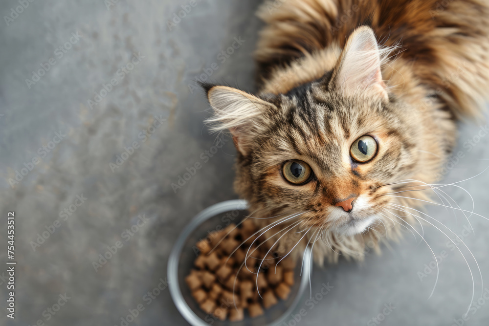 Beautiful fluffy cat sitting next to a food bowl. Cute domestic animal. Generative AI Beautiful fluffy cat sitting next to a food bowl. Cute domestic animal. Generative AI