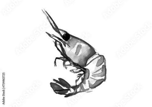 エビが跳ねている和風手描きイラスト