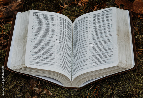 Open Bible in woods 
