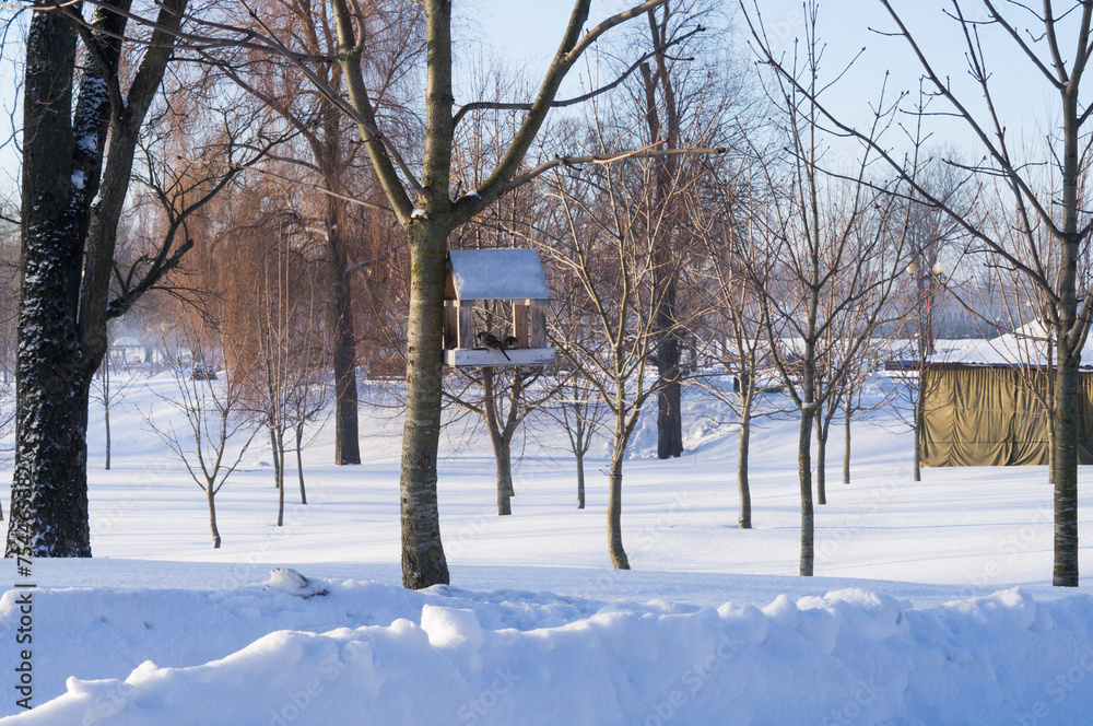 Animals in winter. Bird feeder in harsh winter Animals in winter. Bird feeder in harsh winter