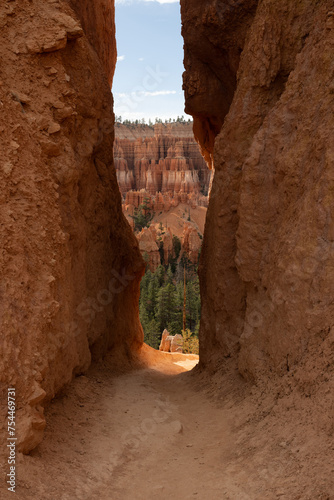 Shadowy Path Between Two Hoodoos Give A Glimse Of The Amphitheater photo