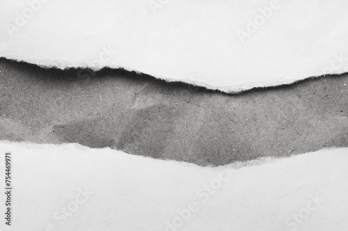 Torn paper edge  on a kraft paper  background. Black and white image