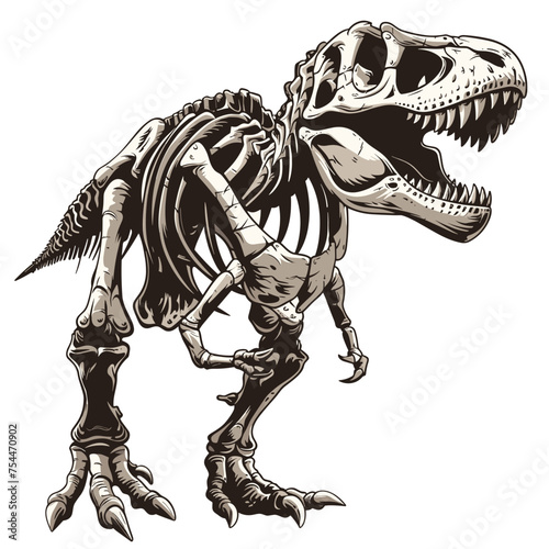 Tyrannosaurus rex skeleton. Vector illustration of dinosaur skeleton. © viklyaha