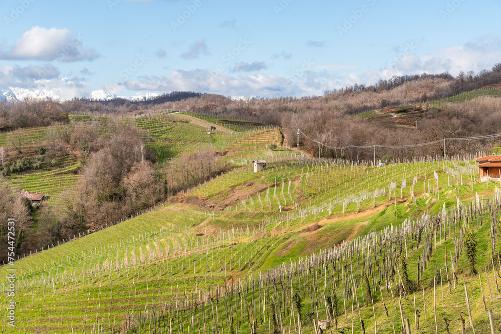 Landscape of vineyard hills of Gattinara in the province of Vercelli, Piedmont, Italy
