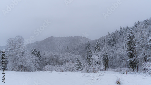 A snow view of the Poprad Landscape Park in Beskid Sadecki on the Poprad River .
