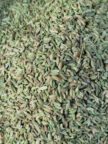 dried Fennel isolated 