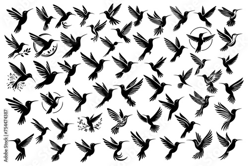 Hummingbirds set