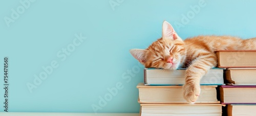 photo of happy ginger cat sleeping on top of a pile of books, isolated on pastel blue background. horizontal banner, educationn and world book day concept, copy space for text © XC Stock