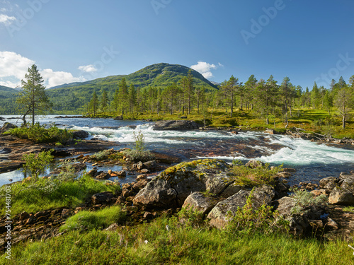 Fluss Gaula, Gaularfjellet, Vestland, Norwegen