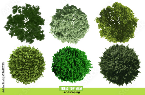 Trees top view collection on white background. Landscaping illustration photo