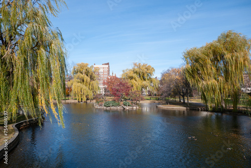 Fotografie Parc avec étang et saules , jour, horizontal