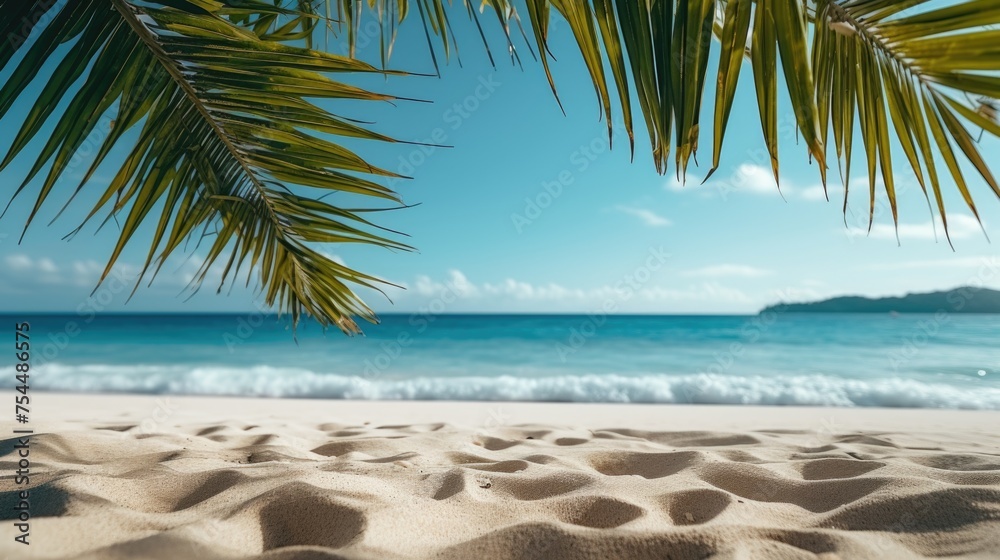 A peaceful palm tree on a sandy beach, perfect for tropical vacation concepts