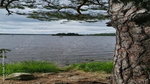 Video of Lake Svartgölen in the Store Mosse National Park as moor area in southern Sweden with raised moors, lakes and forests, in summer, near Värnamo, Hillerstorp, Jönköping County, Smaland, Sweden photo