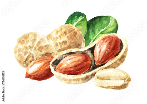 Peanuts with leaves. Watercolor hand drawn illustration isolated on white background