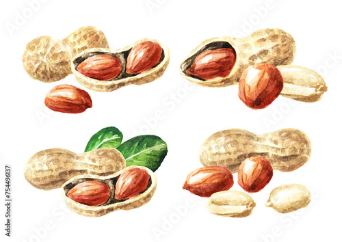 Peanuts set. Watercolor hand drawn illustration isolated on white background