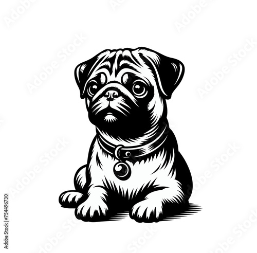 Monochrome pug isolated vector illustation