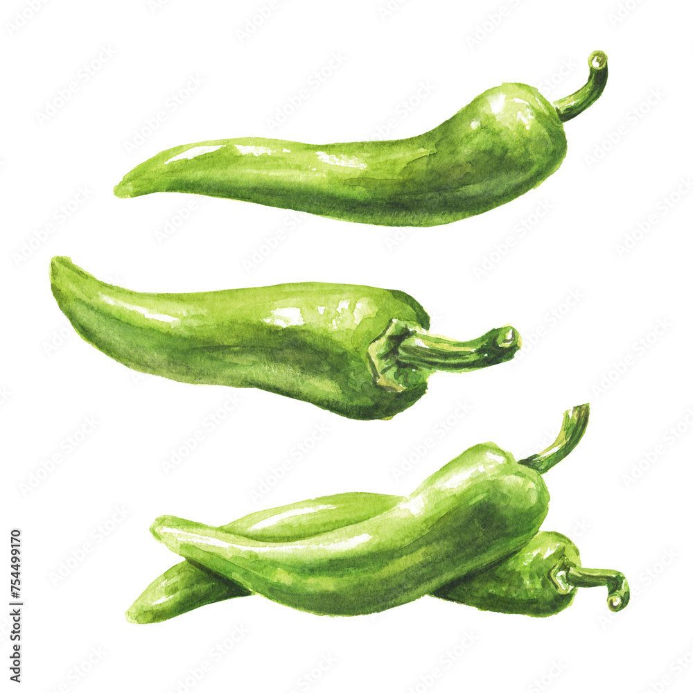 Green hot chili pepper set. Hand drawn watercolor illustration, isolated on white background Green hot chili pepper set. Hand drawn watercolor illustration, isolated on white background