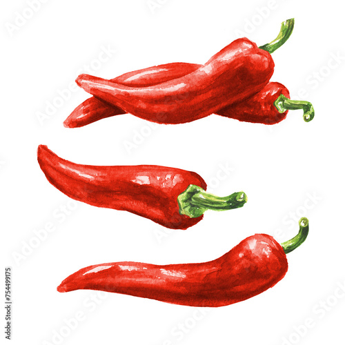 Red hot chili pepper set. Hand drawn watercolor illustration, isolated on white background  © dariaustiugova