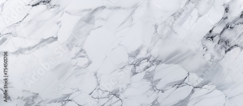 This close-up shot showcases the intricate details of a white marble texture, revealing the natural patterns and veins found in the surface.