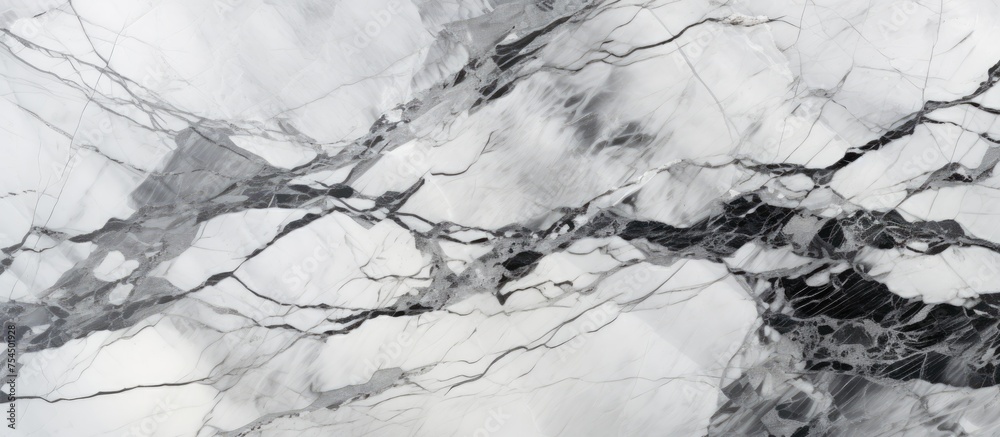 This high-resolution black and white marble texture background showcases intricate patterns and details, perfect for luxurious interiors in Thailand.