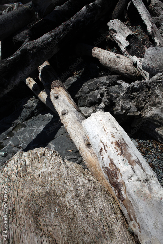 Wood on the beach - Victoria - British Columbia - Canada Wood on the beach - Victoria - British Columbia - Canada